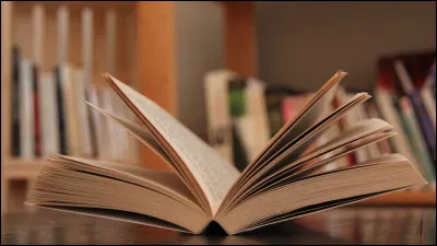 Tu es à la bibliothèque en train de lire ton roman favori. Un jeune homme s'installe sur ta table, juste en face de toi. Il met ses écouteurs, de la musique et il commence à lire son livre. Rien d'anormal à un détail près... Ses écouteurs sont mal branchés :