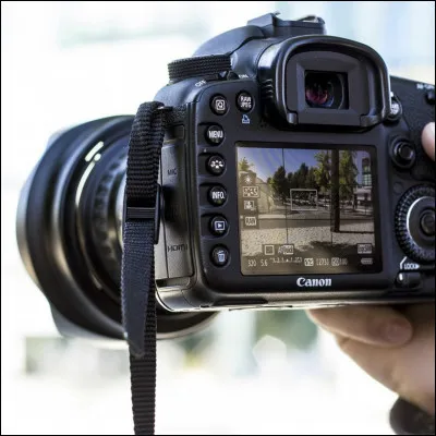 Un photographe pro te propose de poser pour un shooting photo dans un parc et il te dit : "Quartier libre !" :