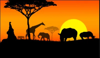 La devise de la Mauritanie est le franc CFA.