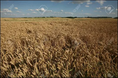 L'Autriche était située à l'intérieur du bloc soviétique durant la guerre froide.