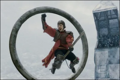 Harry, dans l'équipe de quidditch des Gryffondor, est...