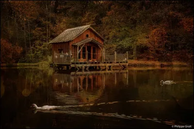 Qui vient chercher Harry alors qu'il est sur une petite île désolée ?