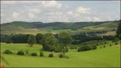Quelle est la particularit&eacute; du fromage venant du pays de Bray appel&eacute; Neufch&acirc;tel ?