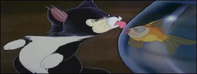 Pour les passionnés de Disney.
Le nom du poisson rouge de Geppetto est Figaro.