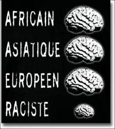 Dietrich Eckart a été un des premiers Nazis et c'est lui qui instaure les bases racistes sur lesquelles le parti va se baser. Dans quel périodique dont il dirige la publication jusqu'à 1920 va-t-il présenter une évolution du mythe raciste de Thulé ?