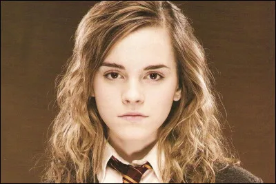 Avec qui Hermione Granger se marie-t-elle ?