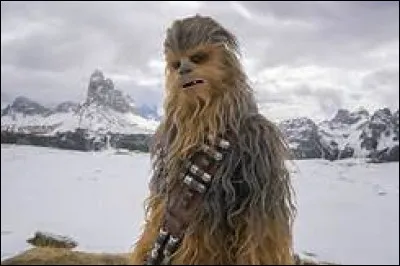 Qui est Chewbaca ?