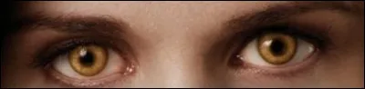 À qui appartiennent ces yeux ?