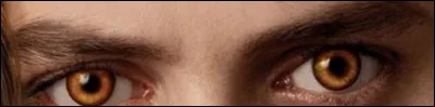 À qui appartiennent ces yeux ?