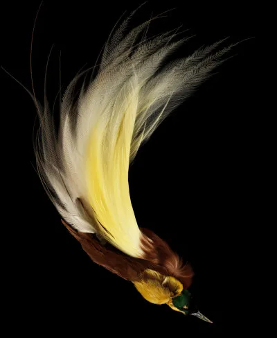 Trouvez le nom du propriétaire !