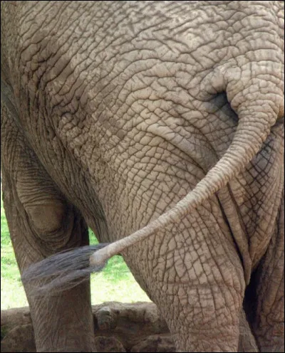 Là, je serai tenté de dire, attention à ne pas vous "tromper" !