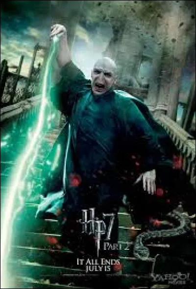 Que se passe-t-il au combat entre Harry et Voldemort ?