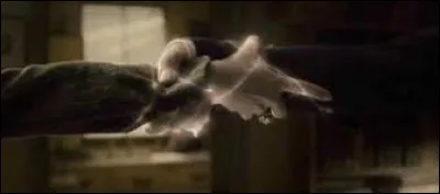 Comment meurt le serpent ?