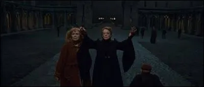Quel sort a prononcé McGonagall pour faire bouger les statues de pierre du château ?