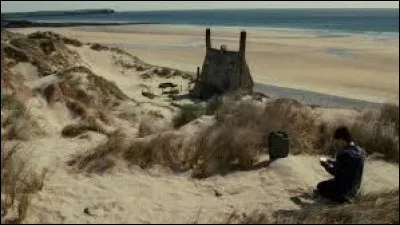 En qui se déguise Hermione à l'aide du polynectar et quel adjectif accorde Ron à son "costume" ?