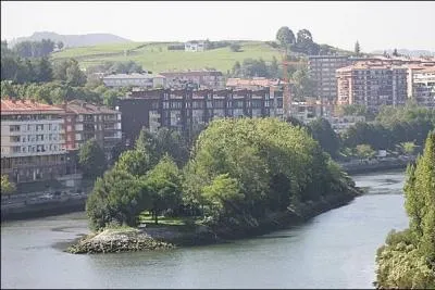 Quels sont les deux pays qui se partagent la minuscule le des Faisans, situe au milieu de la Bidassoa ?