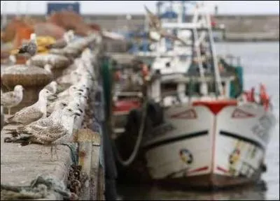 Quel pays europen exploite la plus grande flotte de pche de la Communaut ?