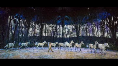 Dans chaque ville, les tentes sont lavées à la main par une équipe comportant...