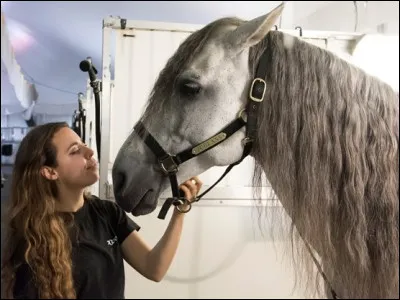 L'âge moyen des chevaux est de...