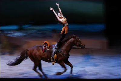 Combien de selles sont utilisées durant un spectacle ?