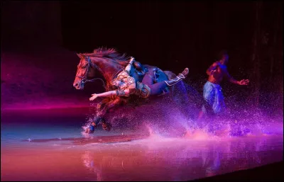 D'où vient la vision de combiner chevaux, acrobates et musique dans un même spectacle ?