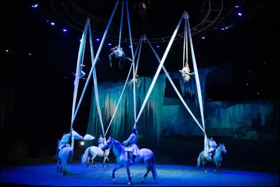 Certaines races de chevaux sont entraînées au dressage, tandis que d'autres seront entraînées à la liberté, par exemple.