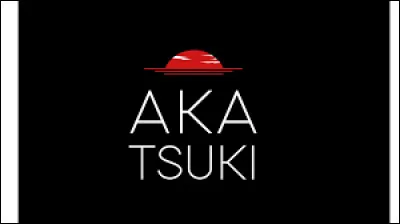 De combien de membres l'Akatsuki est-elle composée dans l'animé, en comptant aussi ceux qui n'y sont plus ? (Sans compter Taka)