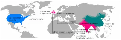 Quelle est cette théorie développée par un économiste britannique et selon laquelle tout pays, même inférieur à d'autres sur le plan de la productivité, peut profiter du libre-échange en se spécialisant là où il est le moins désavantagé ?