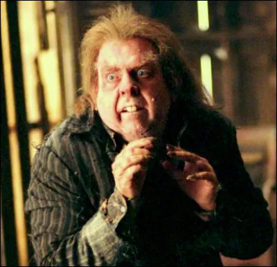 Combien de Moldus sont morts dans l'explosion créée par Peter Pettigrow ?