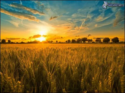 Quelle temp&eacute;rature aimes-tu le plus ?