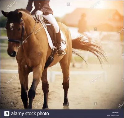 Le pas est une allure à...