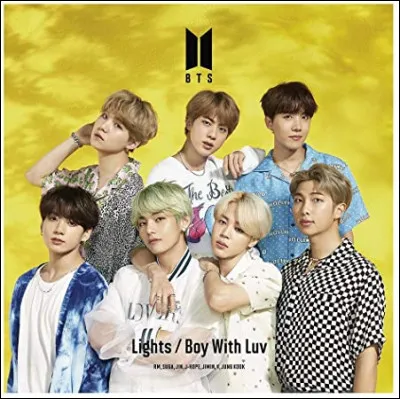 Quels membres sont les ''parents'' du boys band ?