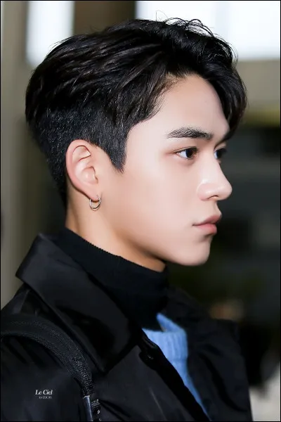 Quand a débuté WayV ?