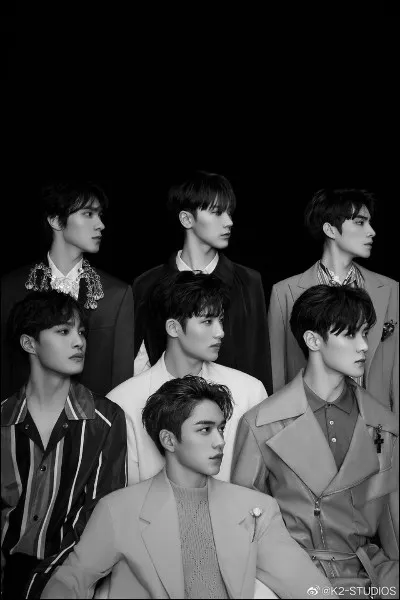 Quelle est la particularité de WayV ?