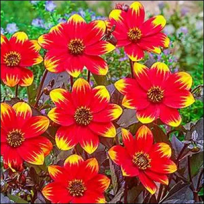 Compliquons la tâche, vous me semblez bien trop rapide. Allez donc vous promener du côté de la question 5...