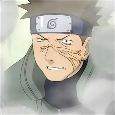 Je suis un jônin spécial de Konoha.