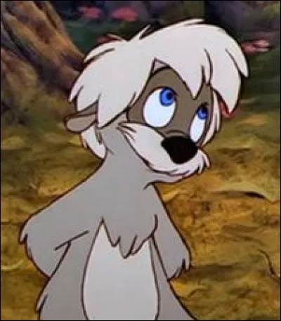 Qui est cette hilarante petite boule de poils ?