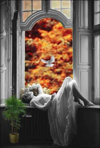 Qui est l'écrivain du roman "Le Grand Sommeil" ?