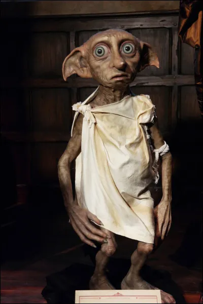 Comment s'appelle cet elfe de maison ?