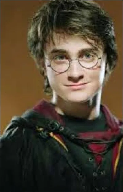 Quel acteur incarne le rôle de Harry Potter ?
