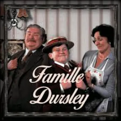 Quelle est l'adresse de la maison où vit la famille Dursley ?
