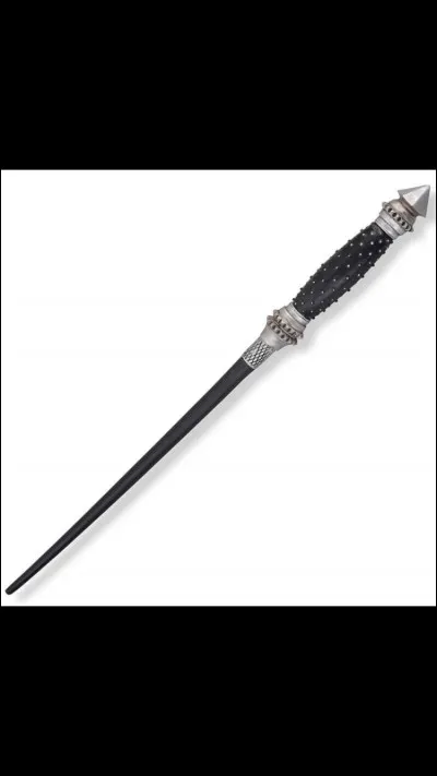 À qui appartient cette baguette ?