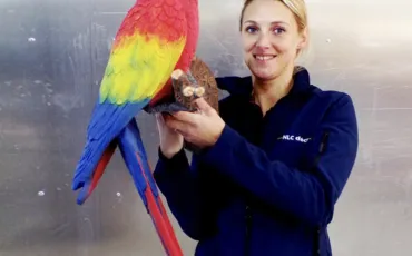 Quiz Animaux