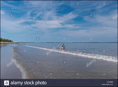 Depuis longtemps, on se sert des nappes phréatiques pour diverses choses mais pour récupérer l'eau, il fallait quelque chose. Que fallait-il ?