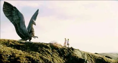 Quel est ce magnifique dragon ?