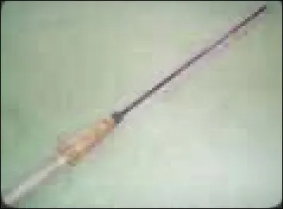 Continuons comme ça, c'est une grande perche avec au bout un morceau de métal en pointe.
 C'est un...