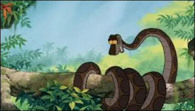 Quel est ce personnage ?