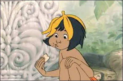 Quel est ce personnage ?