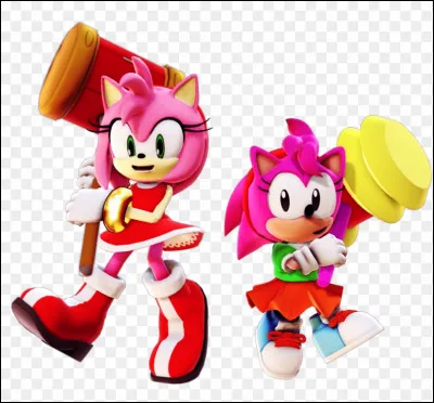 Amy Rose est apparue pour la première fois en 1993 dans ''Sonic CD'', mais elle ne portait pas ce nom à sa création, 
mais quel nom portait-elle ?