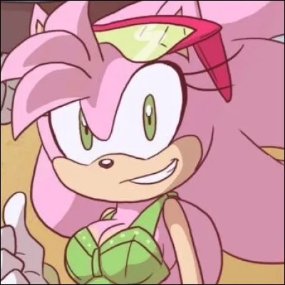 Il y a quelques années, un fan de Sonic a créé un personnage
appelé Aurora, mais qui est-elle par rapport à Sonic ?